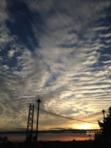 image1.jpeg