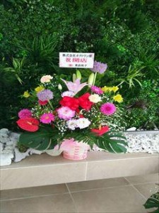 IMG_4994_R.JPG