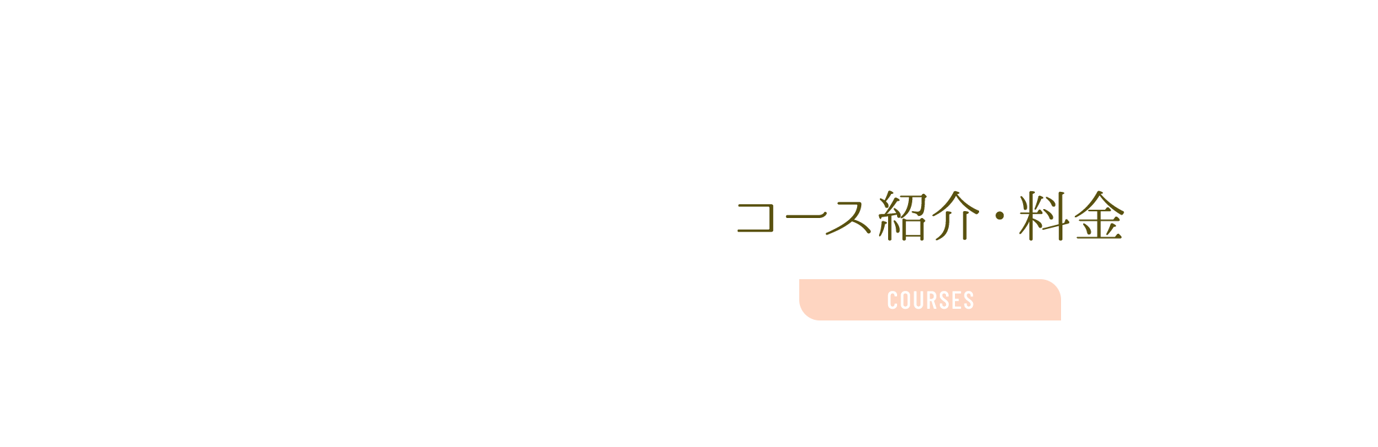 コース紹介・料金